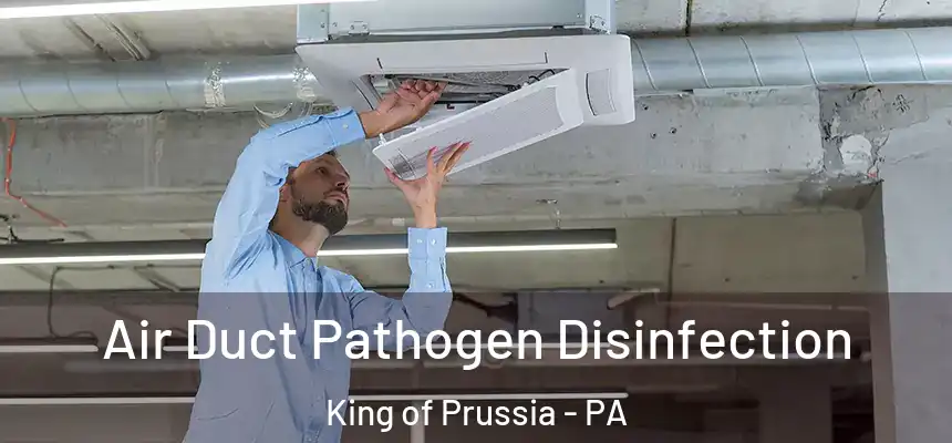  Air Duct Pathogen Disinfection King of Prussia - PA