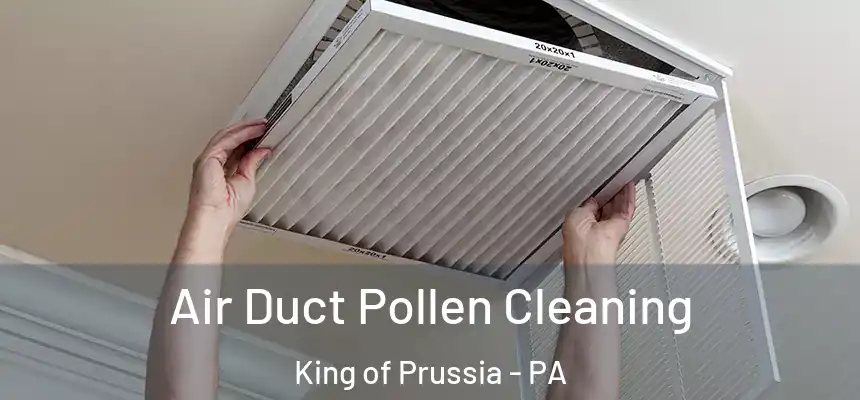  Air Duct Pollen Cleaning King of Prussia - PA