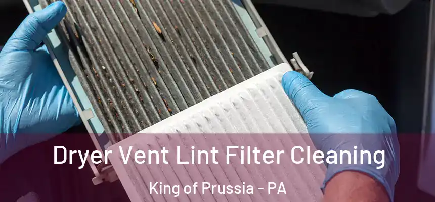  Dryer Vent Lint Filter Cleaning King of Prussia - PA