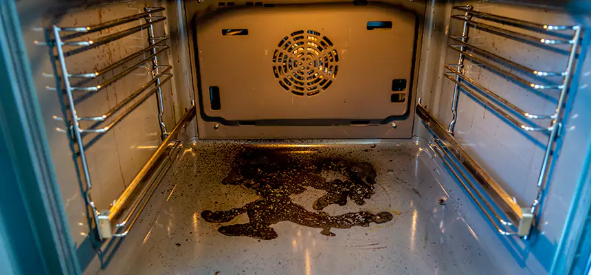 Our Dryer Vent Mold Cleaning Services in King of Prussia, PA