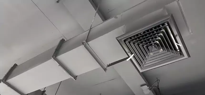 Our Rodent Droppings In Vents Services in King of Prussia, PA