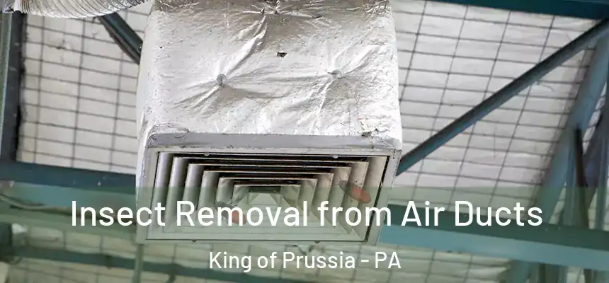  Insect Removal from Air Ducts King of Prussia - PA