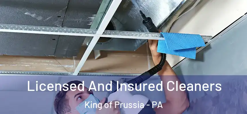  Licensed And Insured Cleaners King of Prussia - PA