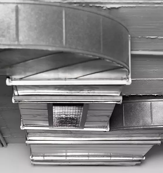 Professional Air Duct Pet Hair Removal in King of Prussia, PA