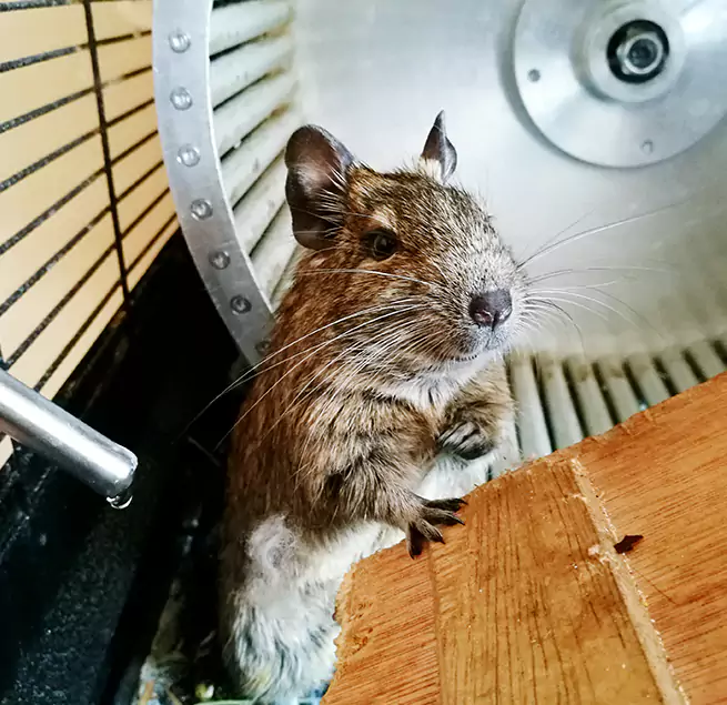 Why Homeowners & Businesses Trust Us King of Prussia, PA