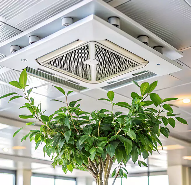 Why Homeowners & Businesses Trust Us in King of Prussia, PA?