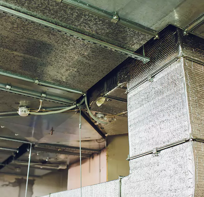 Why Homeowners & Businesses Trust Us in King of Prussia, PA?