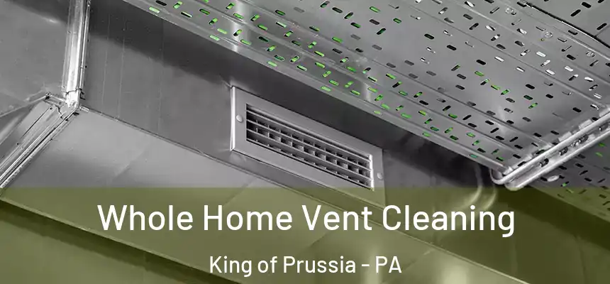  Whole Home Vent Cleaning King of Prussia - PA
